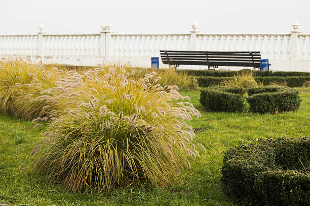 park square grass lawn plants landscaped foreground and blurred background with empty bench and white marble fence