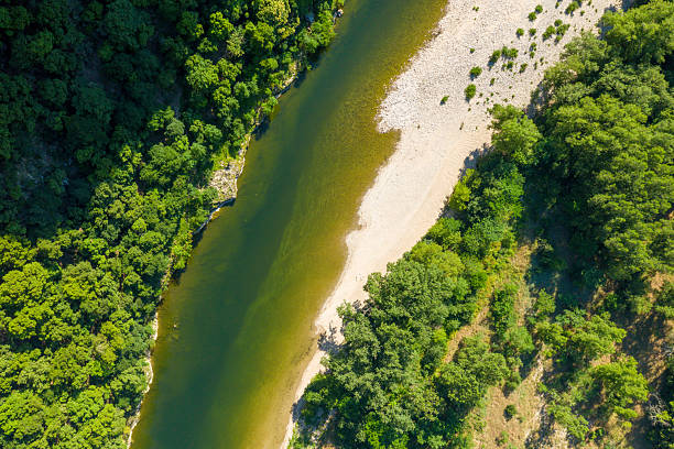Drone perspective of a winding river bordered by dense green forest and a sunlit sandy shoreline in the Gorges de l'Ardeche. The clear water contrasts with the bright riverbank and lush foliage.