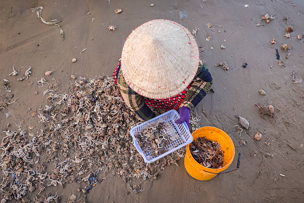 Vietnamese woman sorting fresh catch at the beach, fishing village, Mui Ne, Vietnam.