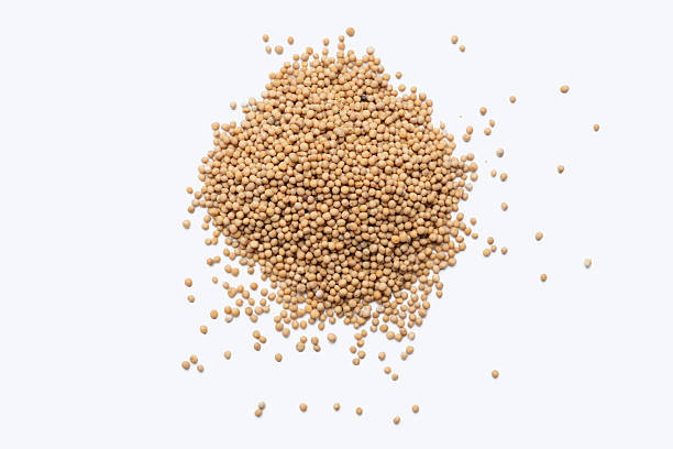 Mustard seeds