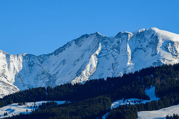 istock Domes de Miage snowy ridges and forest shadows 2255037203