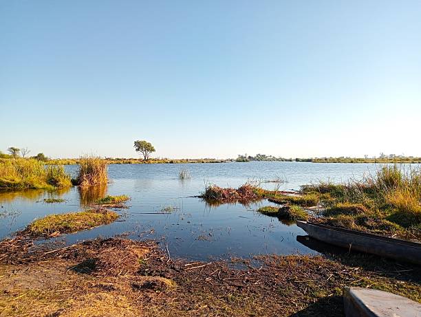 istock Landscape in Okavango Delta, Botswana 2255039591