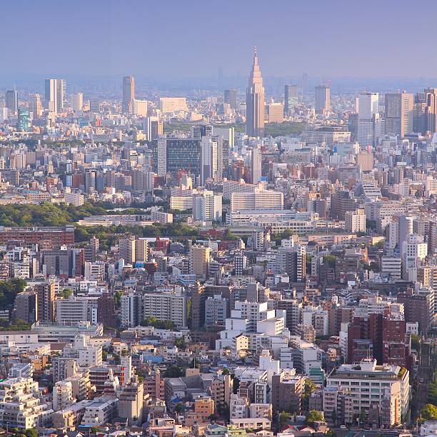 istock Shinjuku, Tokyo 2255039881