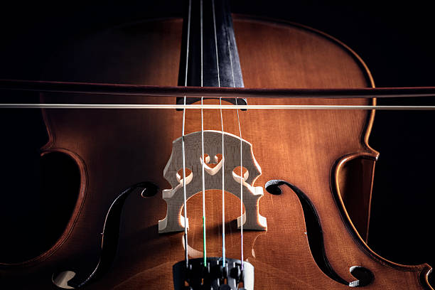 Cello and bow close up on dark background with copy space for music concept