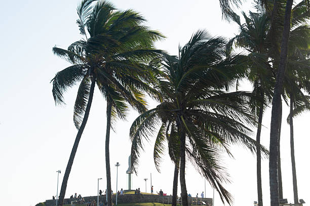 Salvador, Bahia, Brazil - January 3, 2026: Tourists and locals are seen enjoying the sunset on the lawn of Morro do Cristo in the city of Salvador, Bahia.