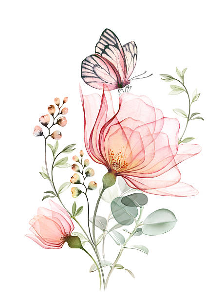Watercolor bouquet with roses, eucalyptus and butterfly. Big transparent pink flowers with curved plants. Pastel bright composition in modern classical style. Hand painted abstract artwork.