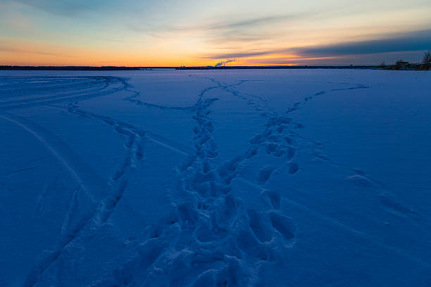 Sunset over winter field. Footprints in snow