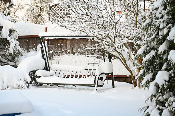 Winter in the garden