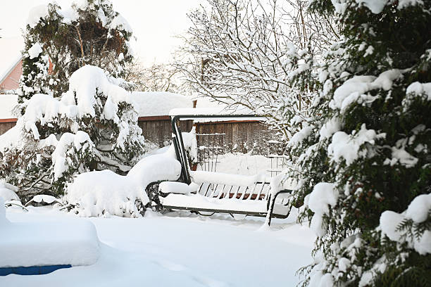 Winter in the garden