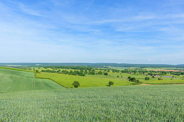 Wide view of rolling green fields and scattered trees under a clear blue sky near Cuncy les Varzy, capturing the open countryside and tranquil rural atmosphere of springtime.