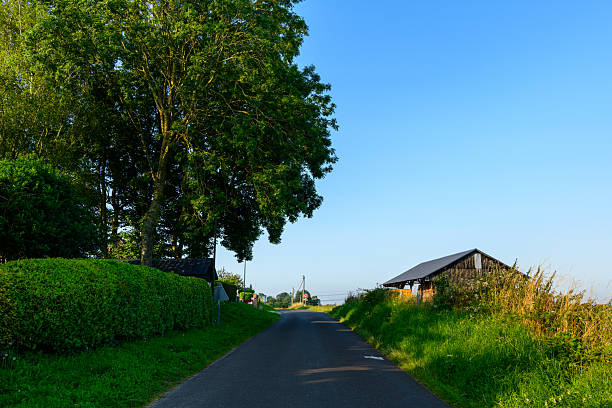 Quiet country road bordered by lush green hedges and tall trees leads past a rustic wooden barn under a clear blue sky in Saint Sylvain. Warm sunlight enhances the vibrant summer landscape and tranquil rural mood.