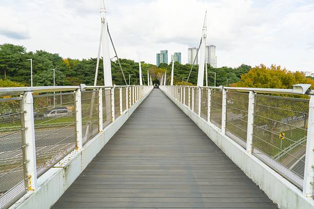Seoul, South Korea - October 12 2025 : The White Pedestrian Bridge in Seoul Forest Park