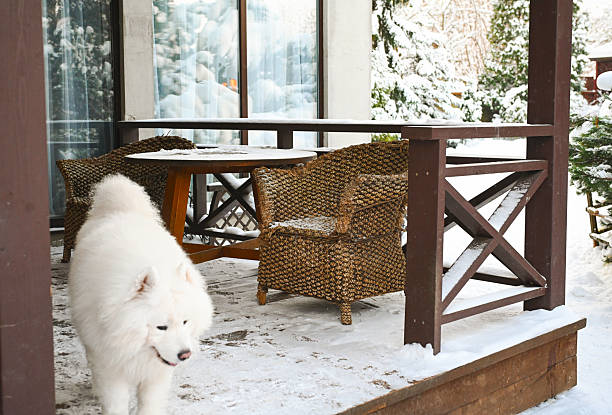 Winter in the garden