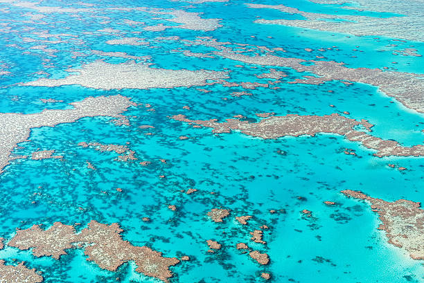 istock The Great Barrier Reef in Australia 2255060697