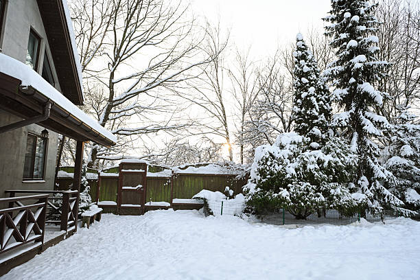 Winter in the garden