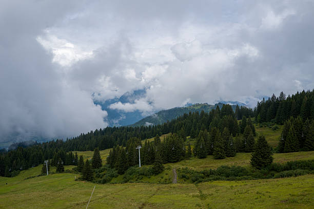 Beautiful panorama over the Ecrins national park. This image was taken during a sunny summer day near Ornon small village in Oisans massif, Alps mountains, in Isere, Auvergne-Rhone-Alpes region in France.