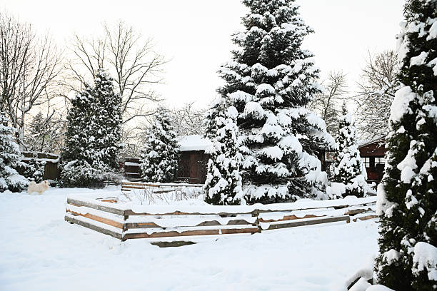 After snow