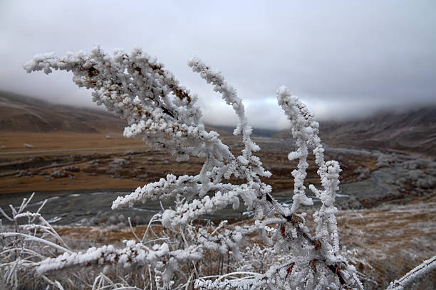 Earth watching, time before winter. Winter has descended from mountains to foothills. Frost coating trees, bushes and grasses, frozen bodies of water with coming rime fog, it get slightly frozen