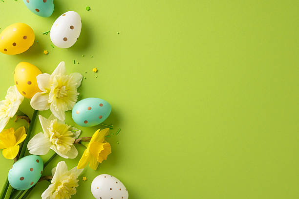istock Bright pastel eggs and fresh daffodils arranged on a lime green backdrop capture a cheerful Easter moment, conveying renewal, celebration, and festive spring vibes without crowding the scene. 2255071741
