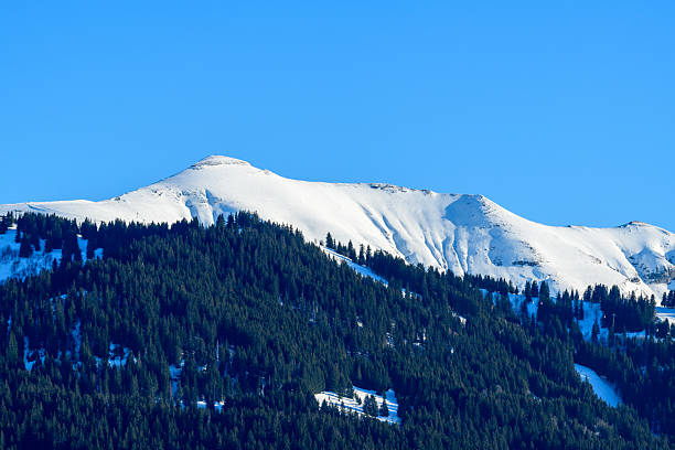 Crisp winter sunlight highlights the smooth, snow-covered summit of Mont Joly rising above a dense pine forest, set against a vivid, cloudless blue sky.