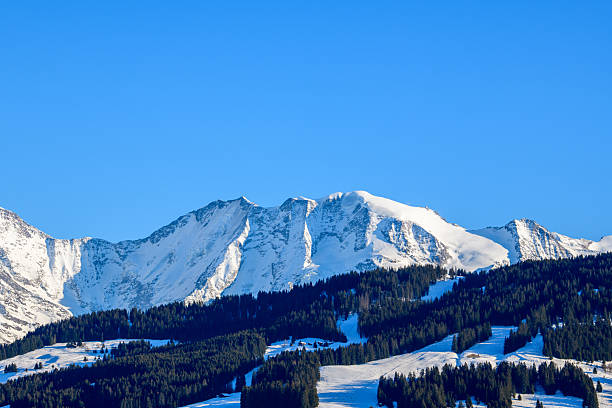 Majestic snow-capped Domes de Miage rise above dark evergreen forests and sunlit winter slopes under a vivid blue sky in the French Alps.