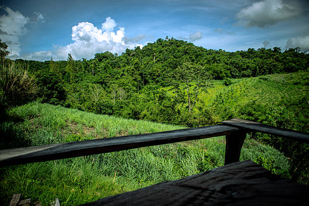 A wooden terrace overlooks a lush green hillside covered with dense forest and farmland, beneath a bright blue sky with soft clouds, creating a fresh and peaceful countryside scene.
