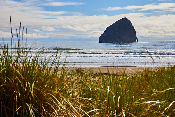 Serene coastal view of Haystack Rock, Pacific City, Oregon. Framed by beach grasses, the monolithic rock rises from the ocean, under a clear blue sky, showcasing the rugged beauty of the Pacific Northwest coast.