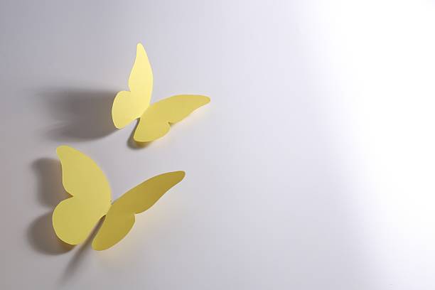 Yellow paper butterflies on light background. Space for text