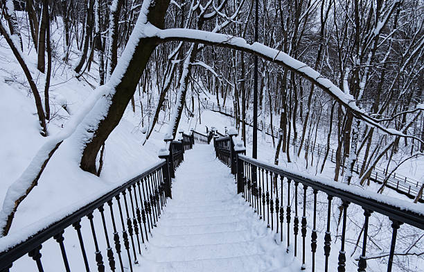 Snowy walk on Sulphur Mountain