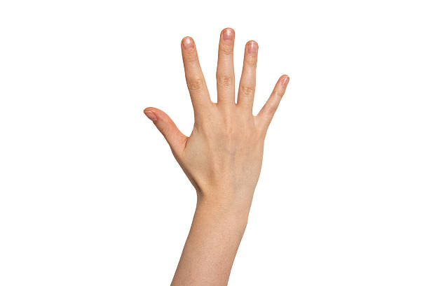istock Open hand with spread fingers. Help, openness, invitation and communication concept. 2255088255