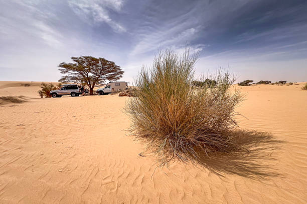 A heavily laden off road vehicle approaching on a dusty track.