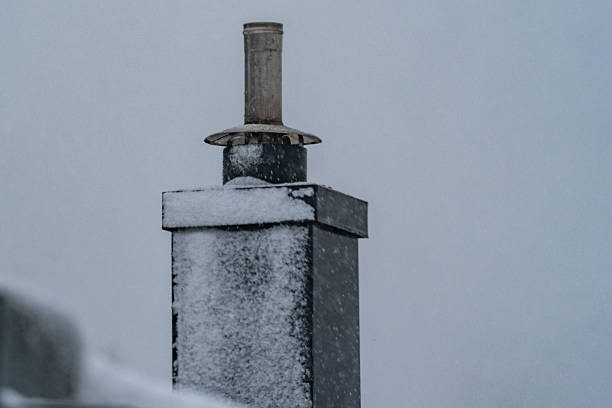 Winter day : Flat roof with bricks covered with snow, in the background Bare trees.