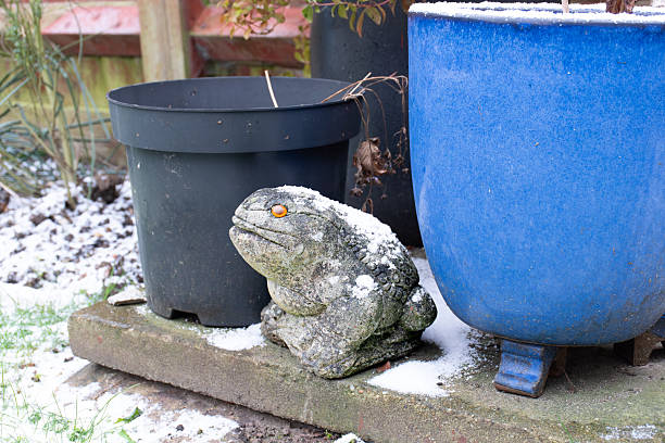 Garden frog statue covered in light snow