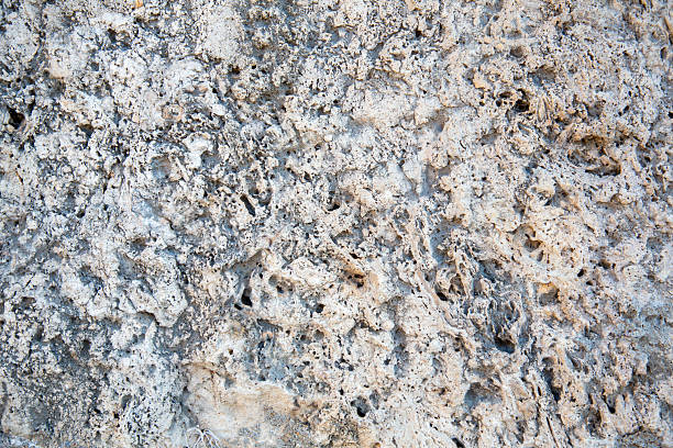 Close-up of a porous limestone surface featuring irregular cavities, mineral-rich textures, and a natural palette of beige, brown, and gray. The rock’s weathered appearance and intricate voids suggest long-term erosion and biological activity, making it ideal for geological, environmental, or architectural themes. Perfect for use in educational visuals, texture backgrounds, or nature-focused design projects.