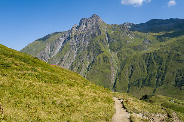 A winding dirt path cuts through lush alpine grassland, leading toward steep, rugged mountain cliffs under a clear blue sky.