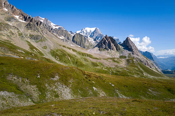 Vivid green meadows and rocky outcrops rise toward dramatic jagged peaks at Col de la Seigne, with the snow-capped summit of Mont Blanc in the distance beneath a clear blue sky. The sunlight accentuates the rugged textures and natural contours of this high mountain landscape.