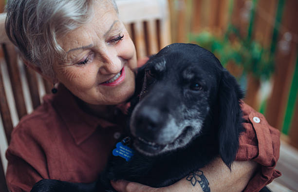 istock Older woman with dog sitting on terrace. 2255096531