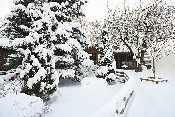 Peaceful winter landscape featuring a forest blanketed in snow. Bare trees stand tall against a backdrop of gentle snowfall, creating a serene and tranquil atmosphere. The scene embodies the quiet beauty of winter, with a sense of stillness and calm. Perfect for conveying the essence of winter in nature.