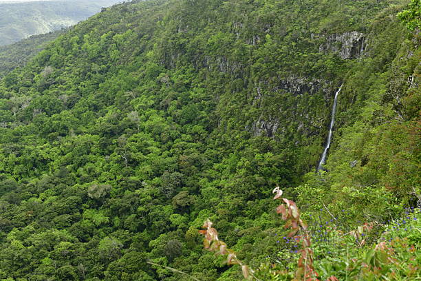 An idyllic view of a classic waterfall flowing down the hill and flowing to the coast.