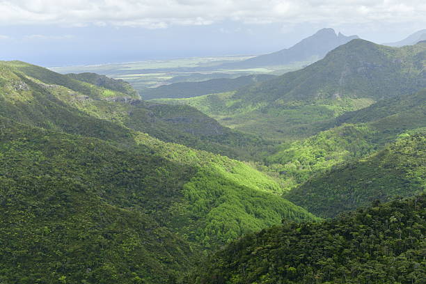 A high viewpoint of the lush landscape of the Black river gorge.