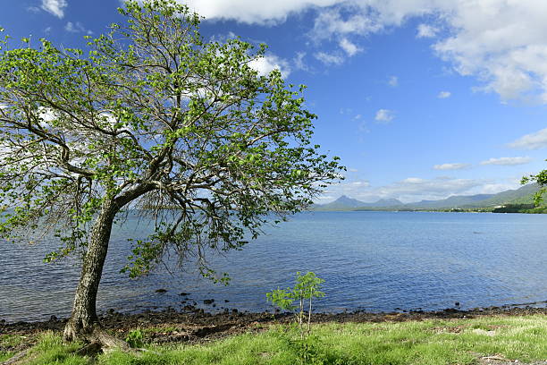 The beautiful nature reserve which is replanting Mangrove plants to protect the coast from Cyclone weather.