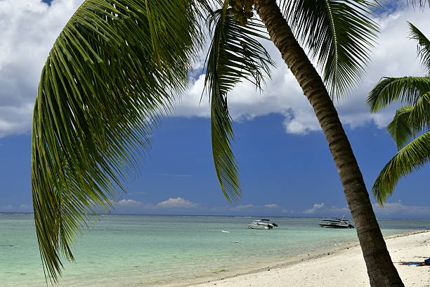 The beautiful coral sand beach in the tropics.