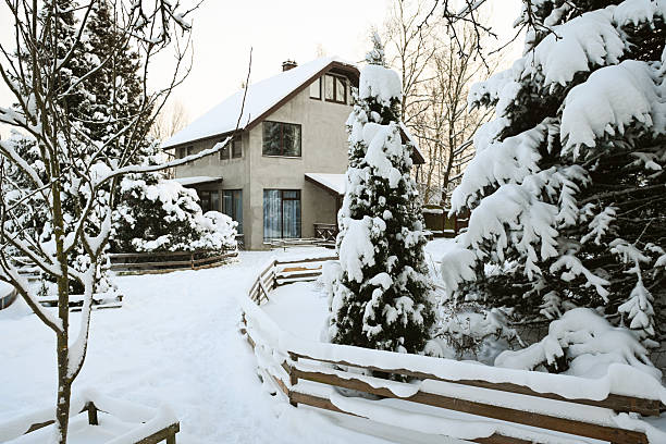 Winter in the garden