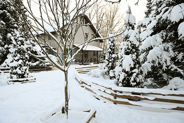 Winter in the garden