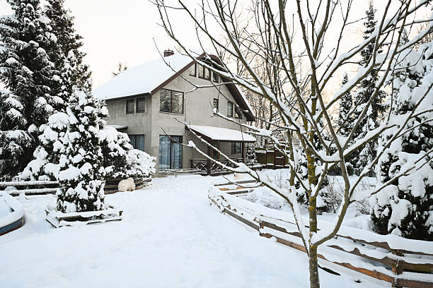 istock Winter in the garden 2255111524