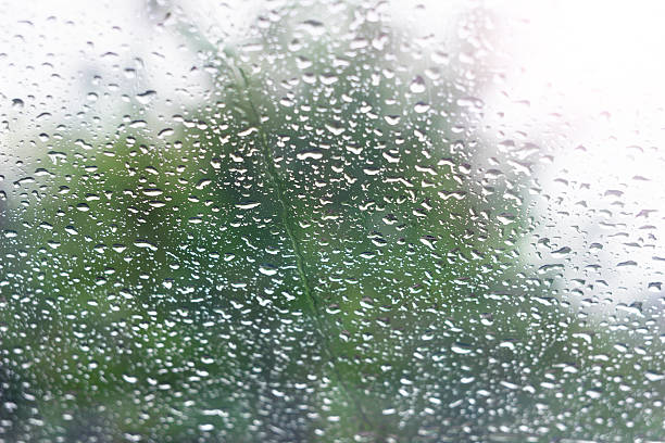 istock Raindrops on car windshield with green tree background and creative soft bokeh focus 2255112010