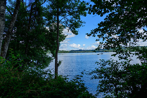 A serene lake reflects stunning views, framed by vibrant green leaves in a peaceful natural setting
