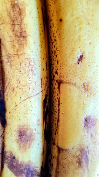 Yellow bananas. Fruits and art