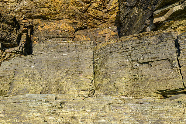 Sunlit close-up of a stratified cliff wall at Cap de Carteret, revealing intricate horizontal layers and warm earthy hues. The textured stone surface is highlighted by natural light, emphasizing geological patterns and rugged details.