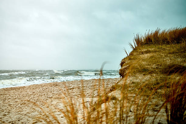Rugged coastal landscape with windswept grass, crashing waves, and a moody, overcast sky evoke a sense of raw, natural power.